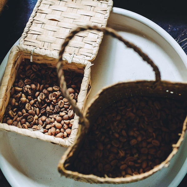 Arabica vs Robusta: What’s the difference?