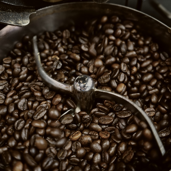 What is Acidity in Coffee?