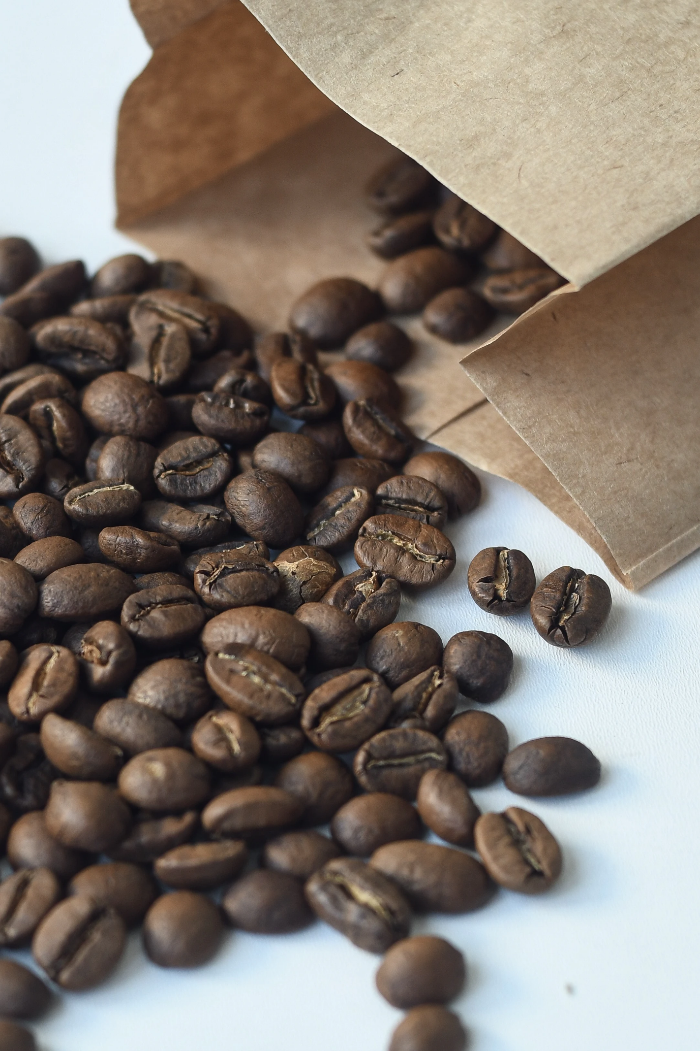 Top 3
Reasons We
♥ Arabica
Beans.