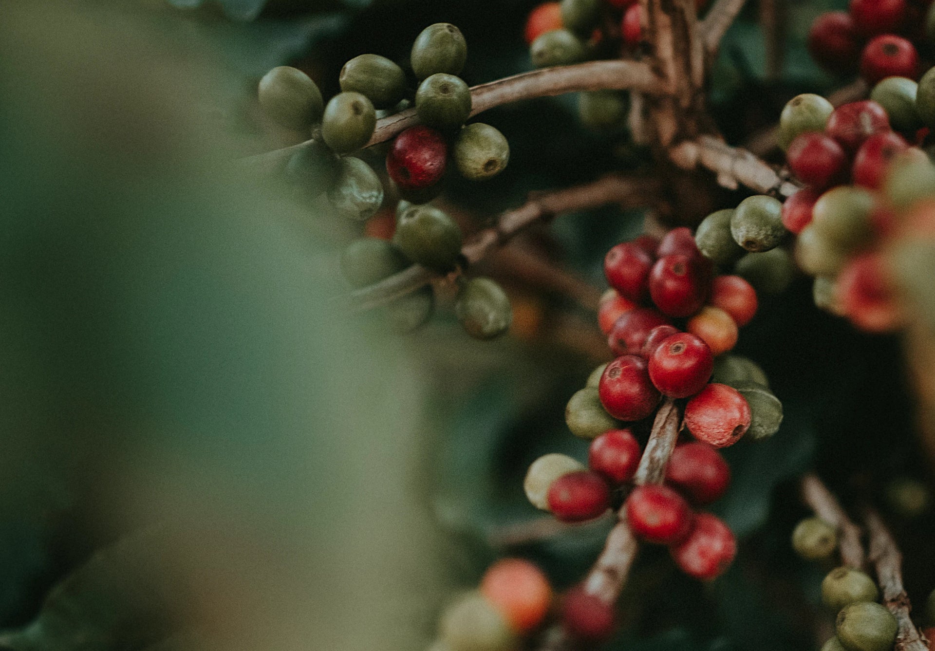 We Think
Sustainably